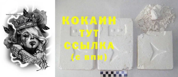 тгк Абаза